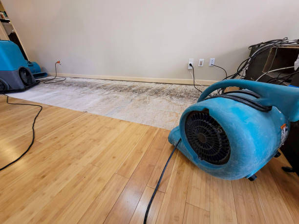 Professional Water Damage Repair technician working in Devon, PA